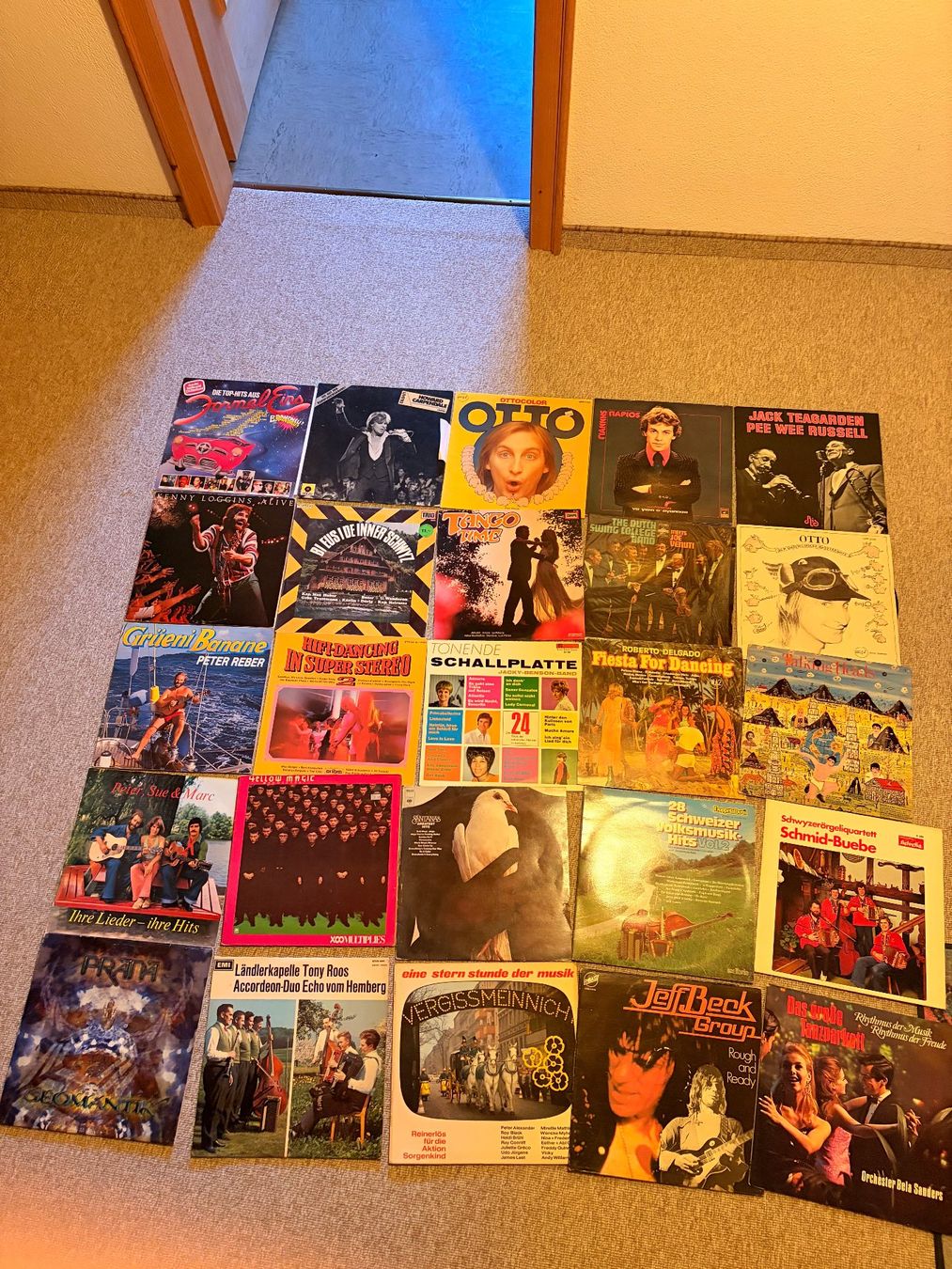 Dischi in vinile: 50 Schallplatten zu verkaufen – Usato da Fideris venduto da alaskino