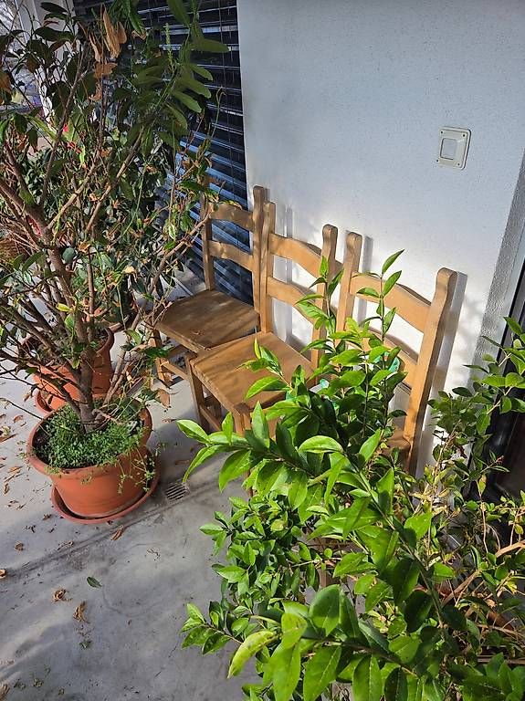 Chaises: Vier Stühle kostenlos – D'occasion à Lachen SZ par ait_bfq7 1