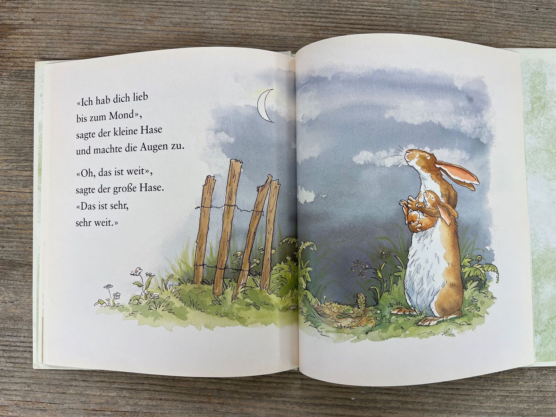 Libri: Weisst du eigentlich, wie lieb ich dich hab? Copyright 1994 – Usato da Pfäffikon ZH venduto da buresi 8