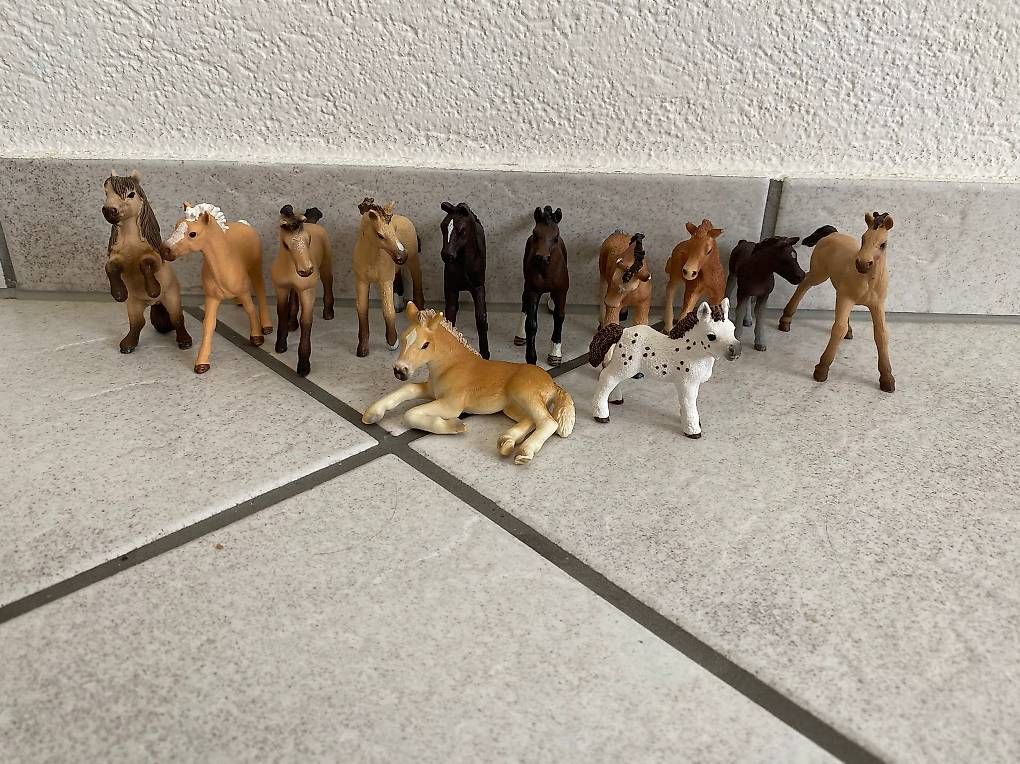 Schleich Spielzeuge: Schleich 12 Stück Fohlen – Gebraucht aus Otelfingen von Schlaedde