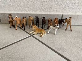 Schleich 12 Stück Fohlen
