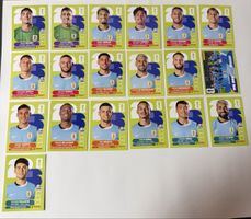 Panini WM 2026 - Uruguay Komplett (ohne Wappen) 19 Stk 2-20