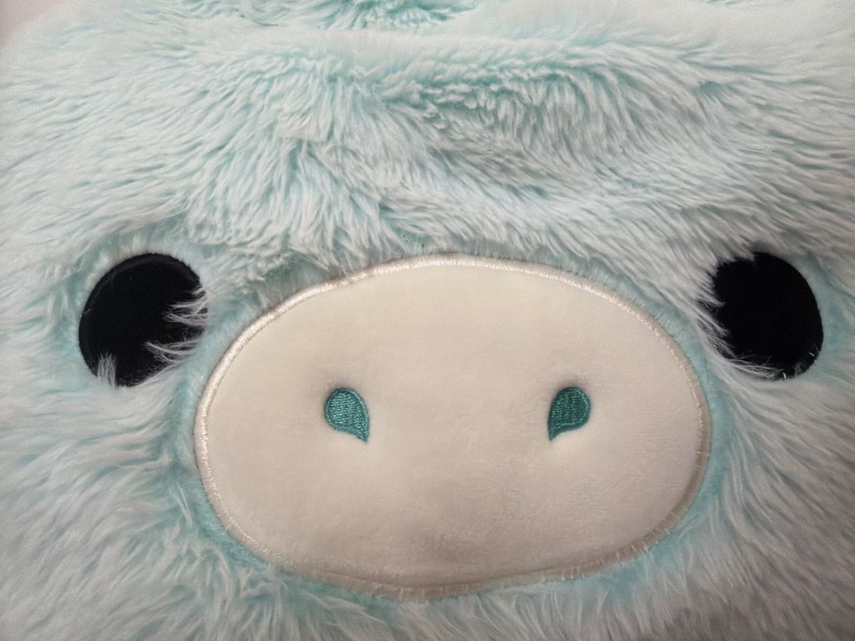 Squishmallows Giocattoli: Riesen Squishmallow Drache in Hellblau - Kuschelig! – Usato da Fällanden venduto da Melinazh 1