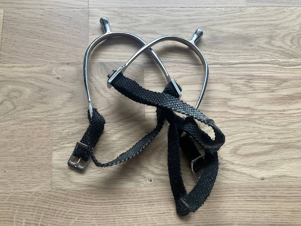 Selle & Accessori: Reitzubehör – Usato da Fehren venduto da hrettmer 1