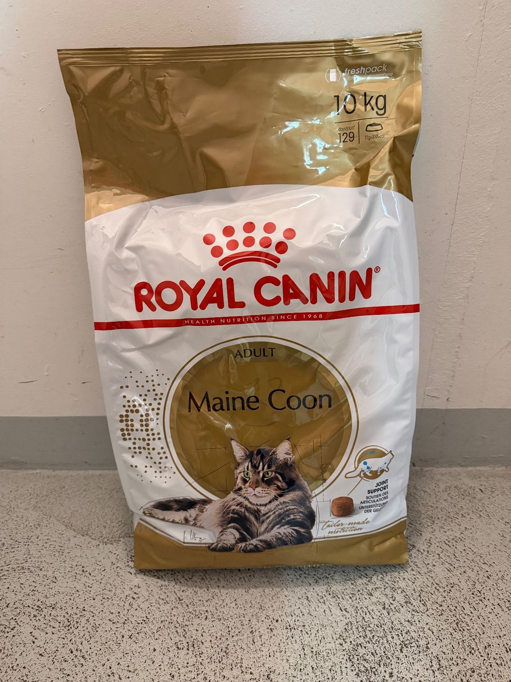 Mangimi: Royal Canin / Maine-Coon/ 10 kg – Nuovo e nell'imballaggio originale da Volketswil venduto da coral72