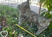 Sculptures & Statues: Metal dog sculpture – D'occasion à Zollikon par kmg1 4