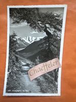 240 Höhenweg mit Piz Palü.