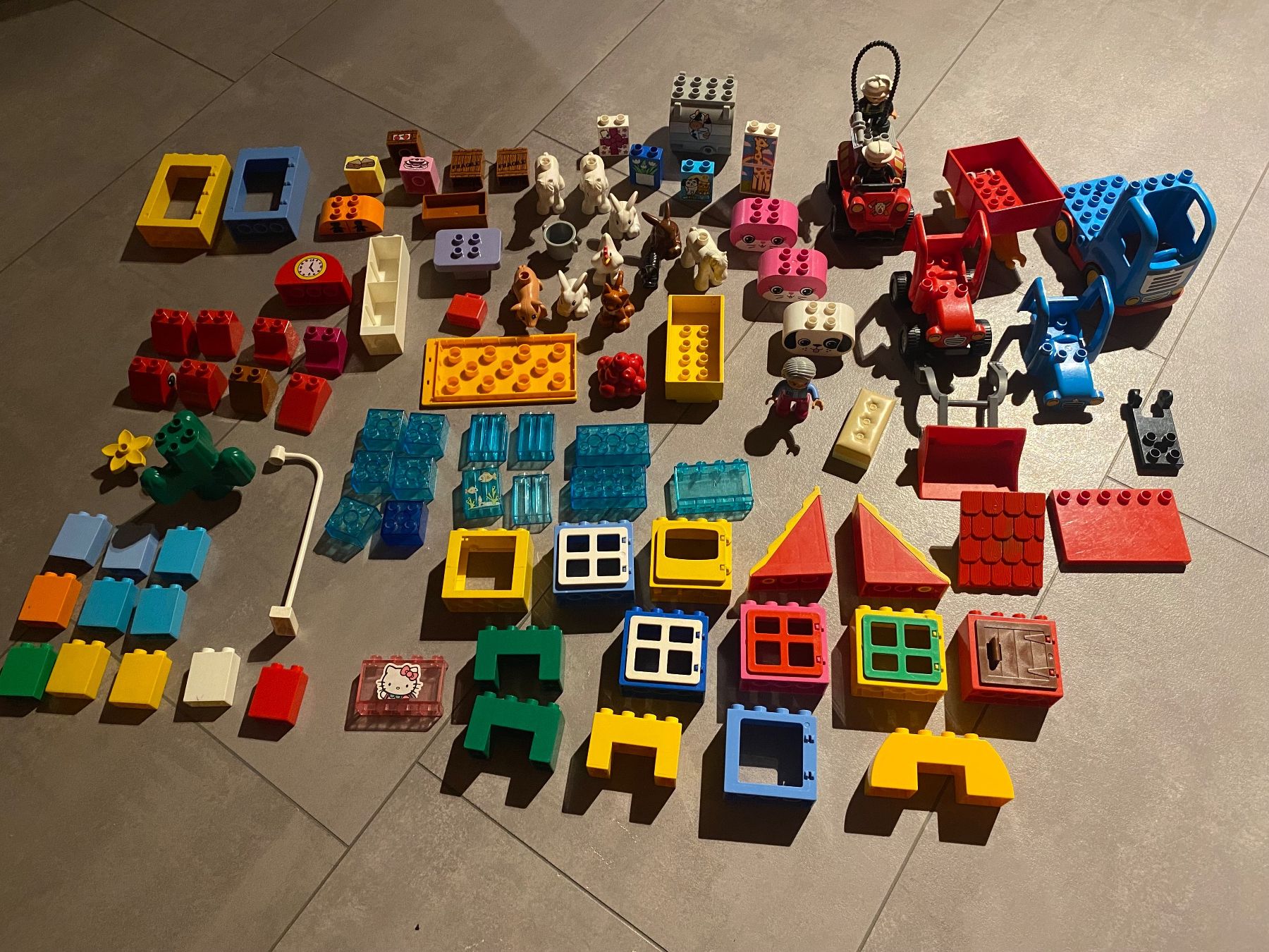 Lego Giocattoli: Lego Duplo diverses und Tiere – Usato da Mastrils venduto da scipio753