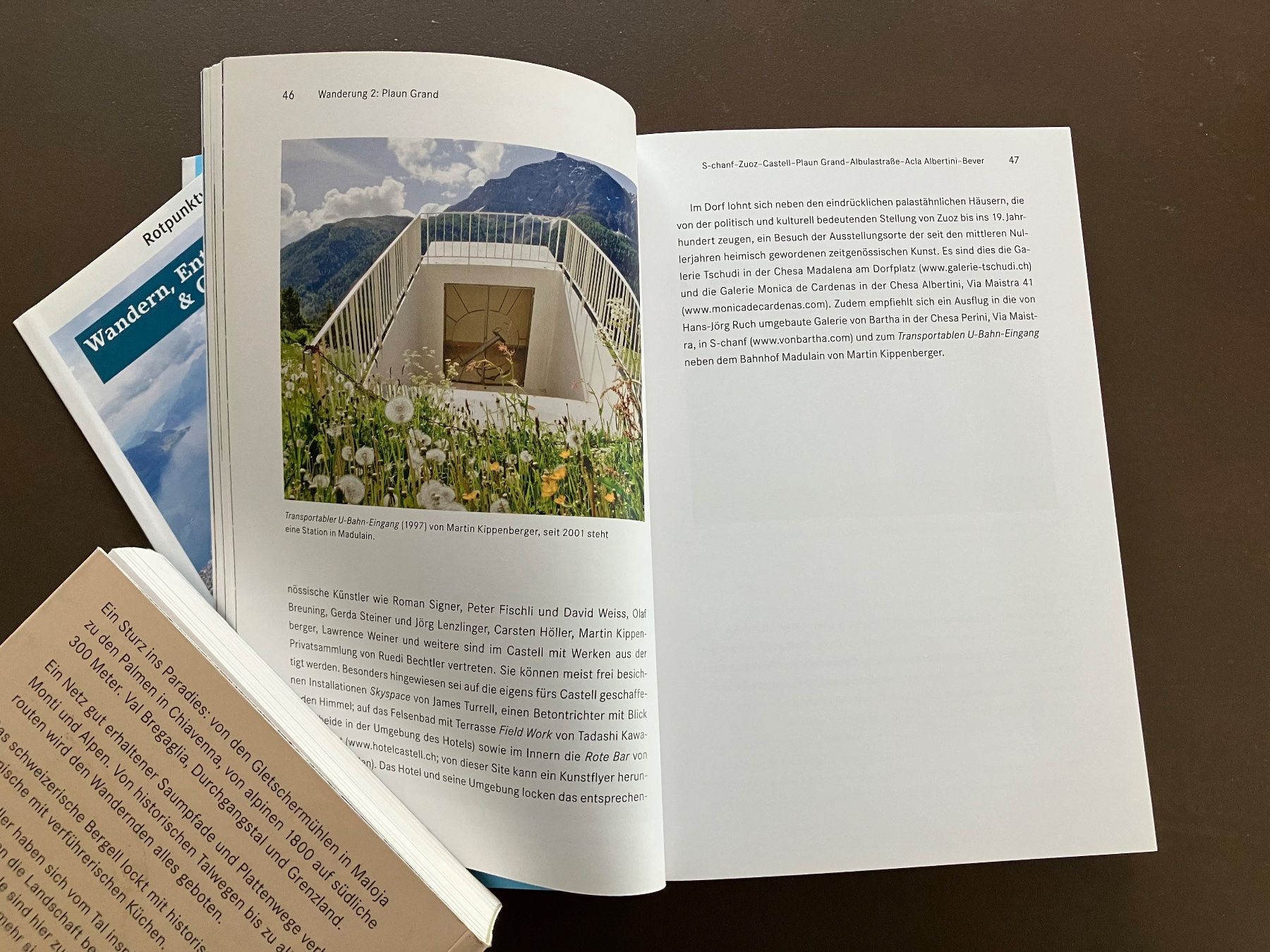 Libri: Bauer_Frischknecht: Wanderführer Engadin + Literatur – Usato da Menziken venduto da timbuktu1001 2