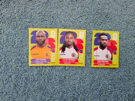 Panini 2026 HAI 2/5/9