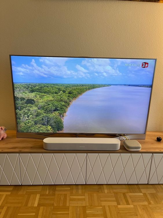 Samsung TV 55 Zoll | Kaufen auf Ricardo