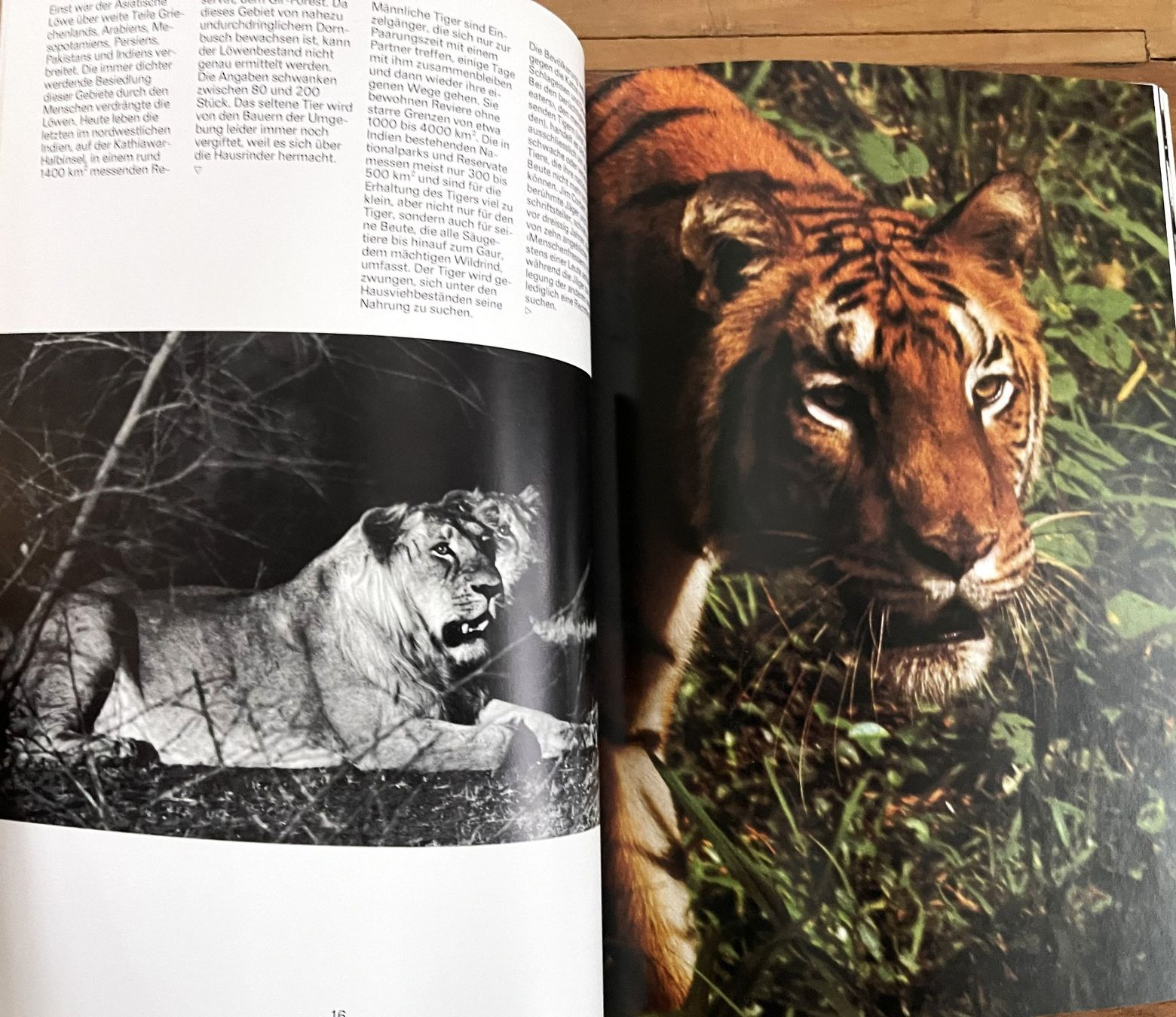 Bücher: Silva Verlag, Zoo Indien, 1976 – Gebraucht aus Oftringen von Vucki 7