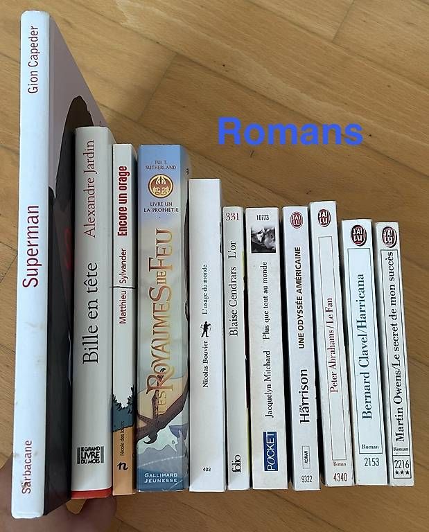 Bücher: Lot de 5-6, Divers romans  – Gebraucht aus Avry-sur-Matran von aur_c2nb 2