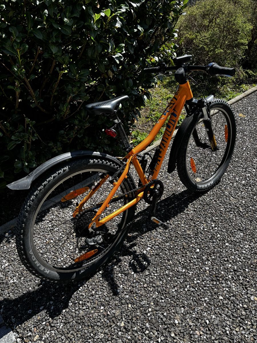Bergamont Velos: Bergamont Revox 24 Zoll Kindervelo, Orange! – Gebraucht aus Niederwangen b. Bern von muidop