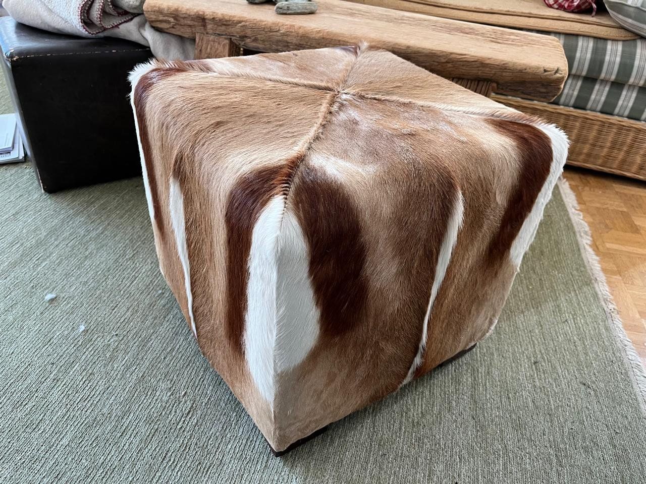 Sgabelli: SPRINGBOCK Hocker Cube unbenutzt NP 800 EUR – Usato da Eschen venduto da evi_8xrh 1