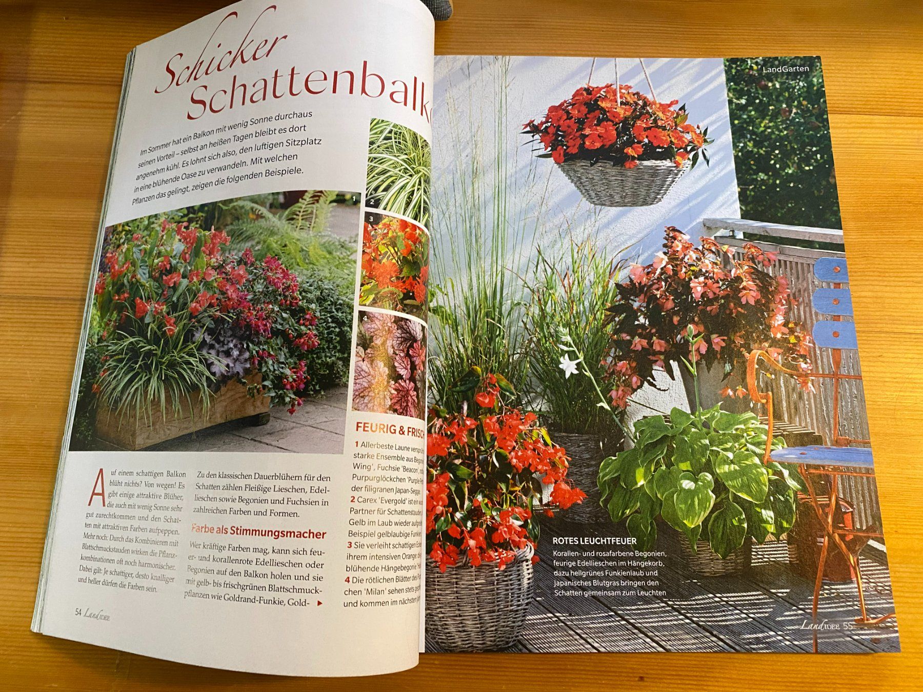 Riviste & Magazine: MAGAZIN HEFT LANDIDEE-JULI-AUGUST 2025 – Usato da Meienried venduto da ManuelaBoutique 6