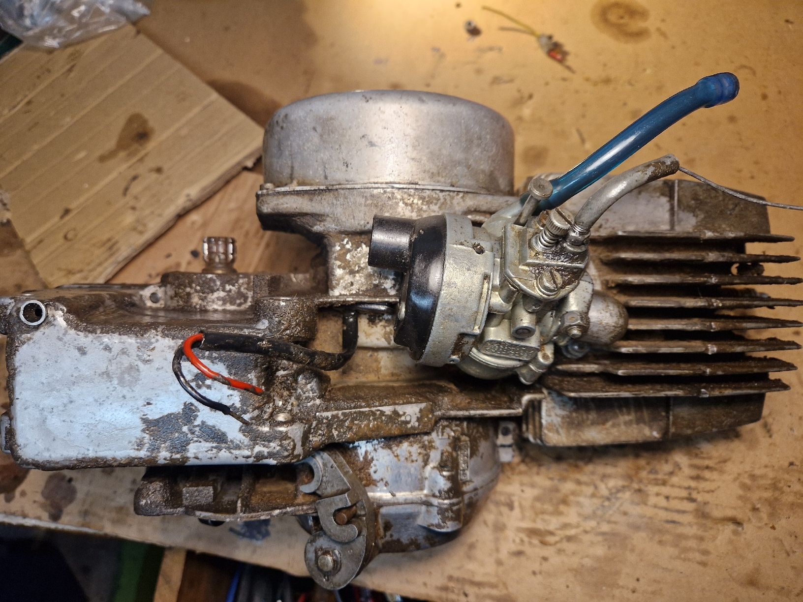 Puch Ciclomotori: Motore Puch E50 4 cuscinetti con cilindro Austria – Usato da Breno venduto da BorioliD 3