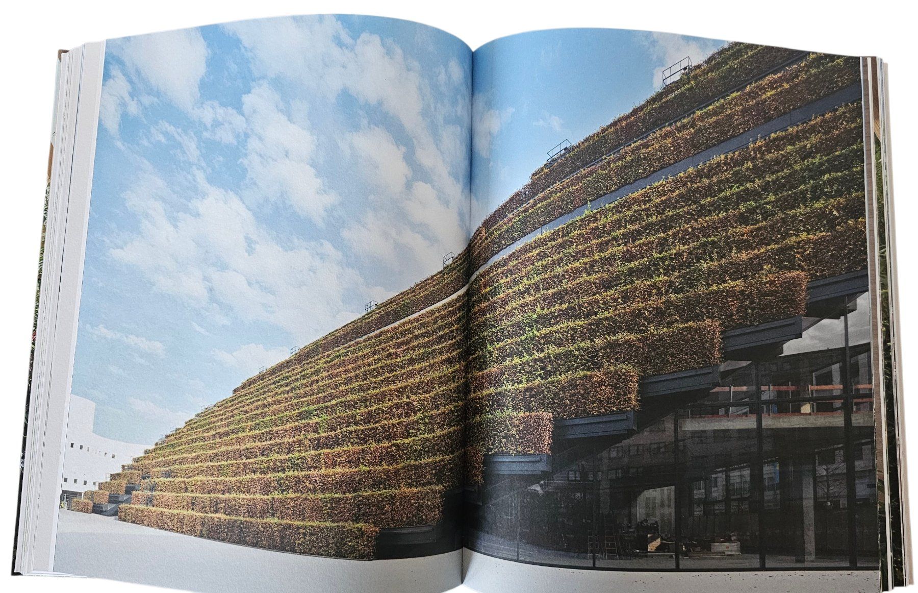 Libri: Architekturbildband: Evergreen Architecture, gestalten – Nuovo (secondo la descrizione) da Schaffhausen venduto da vzi_vzi 3