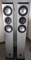 In Top Zustand CANTON KARAT 707 DC Silber Standlautsprecher