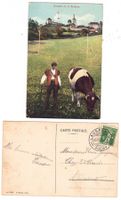 Armailli de la Gruyère