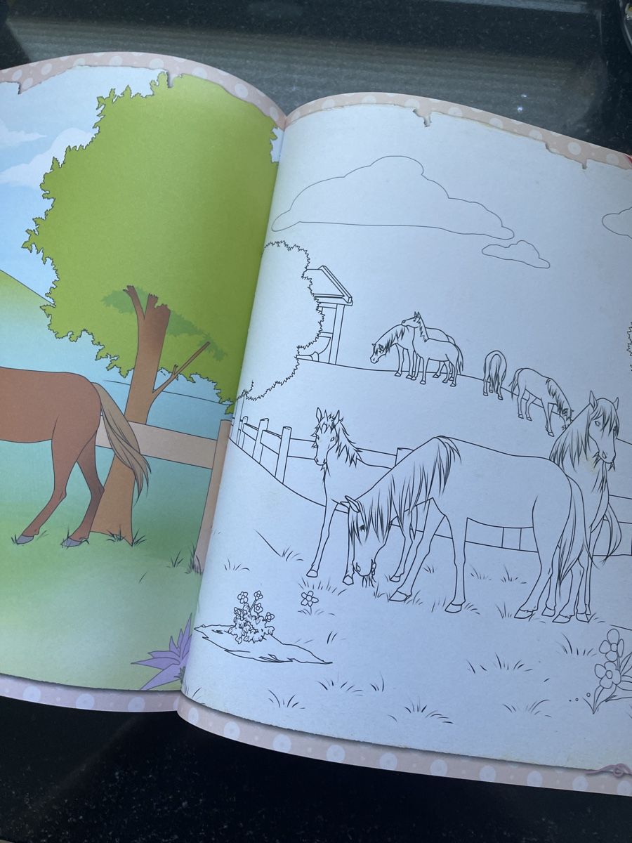Libri: Buch, Pferde und Reiten🐎 – Usato da Samstagern venduto da Katinka8 5