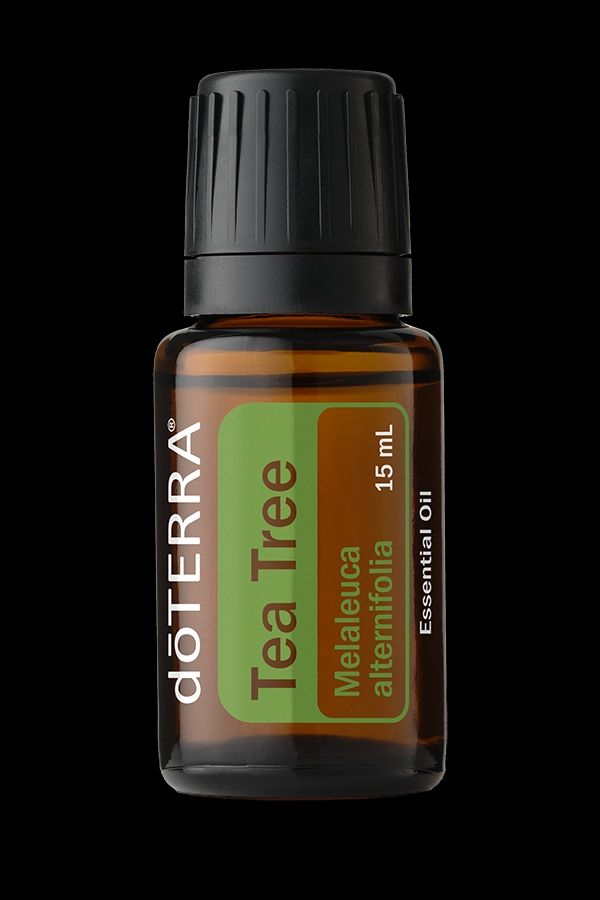 Doterra Oli essenziali: dōTERRA Tea Tree Essential Oil 15 ml Neu – Nuovo e nell'imballaggio originale da St. Ursen venduto da ann_jsw9
