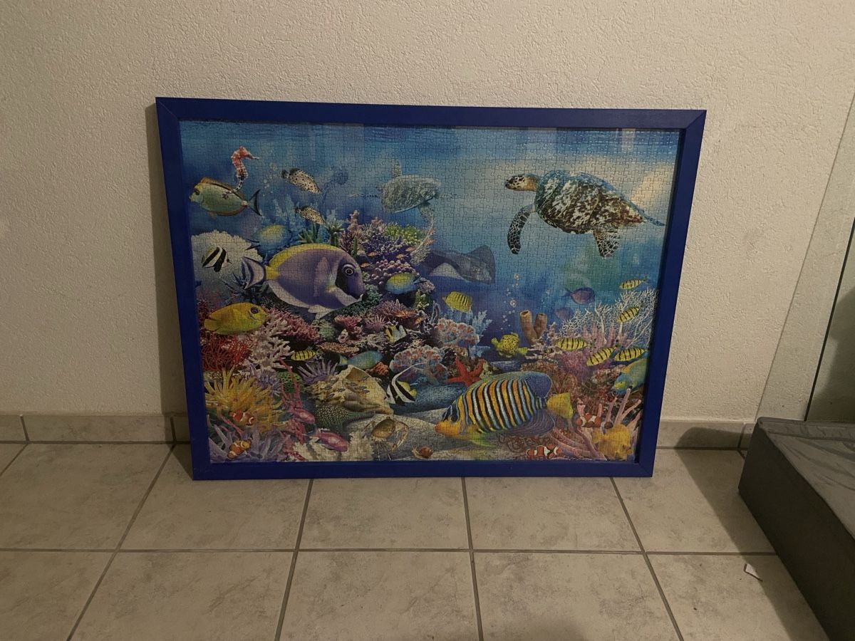 Puzzles: Riesiges Puzzle hinter Glas im Holzrahmen – Gebraucht aus Ossingen von apfelmango