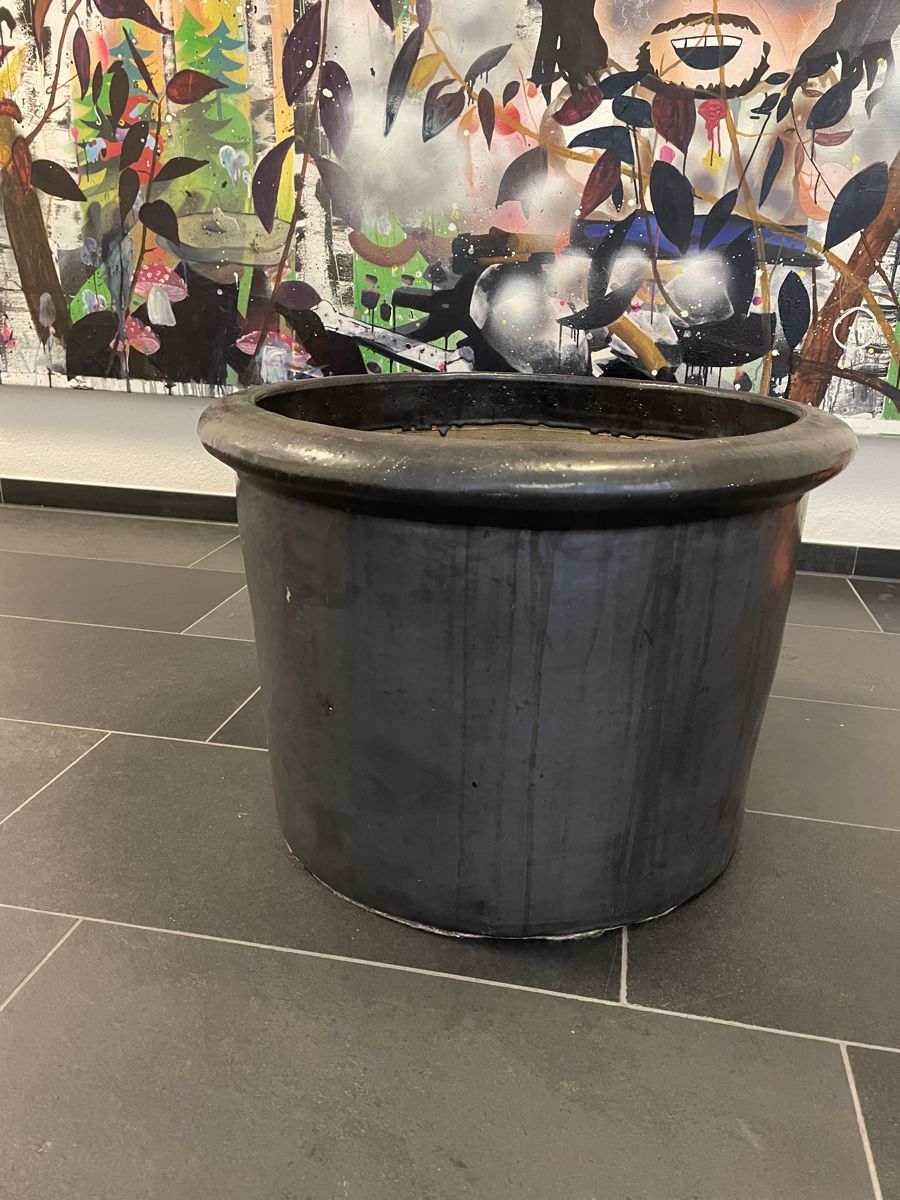 Vasi per fiori: Blumen Baum  grosser Topf  – Usato da Zürich venduto da Danokiko 1