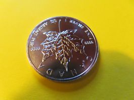 🍁 Silber Maple Leaf 1 Unze, Jahrgang 2011Top Zustand!