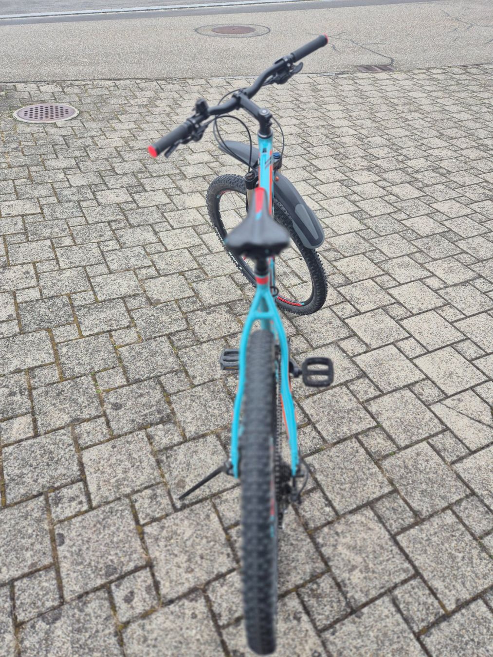 Stevens Biciclette: Stevens Taniwha 29", Rahmen 20" - Top Zustand – Usato da Eschenbach SG venduto da Kascha69 2
