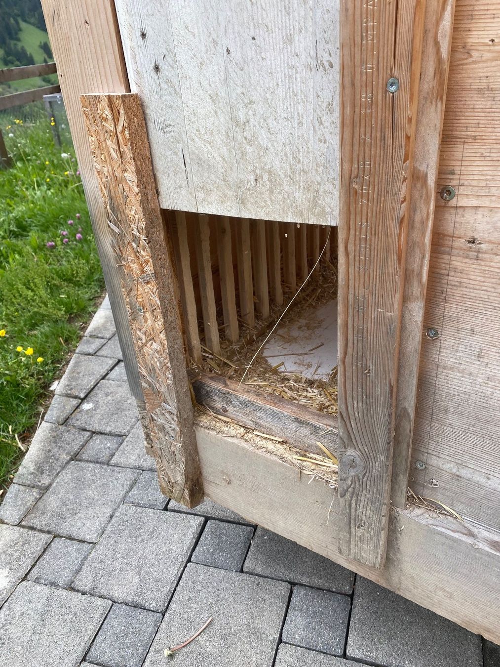 Cages, transport & sécurité: Kaninchenstall oder Hühnerstall – D'occasion à Lenk im Simmental par Miguelle 3