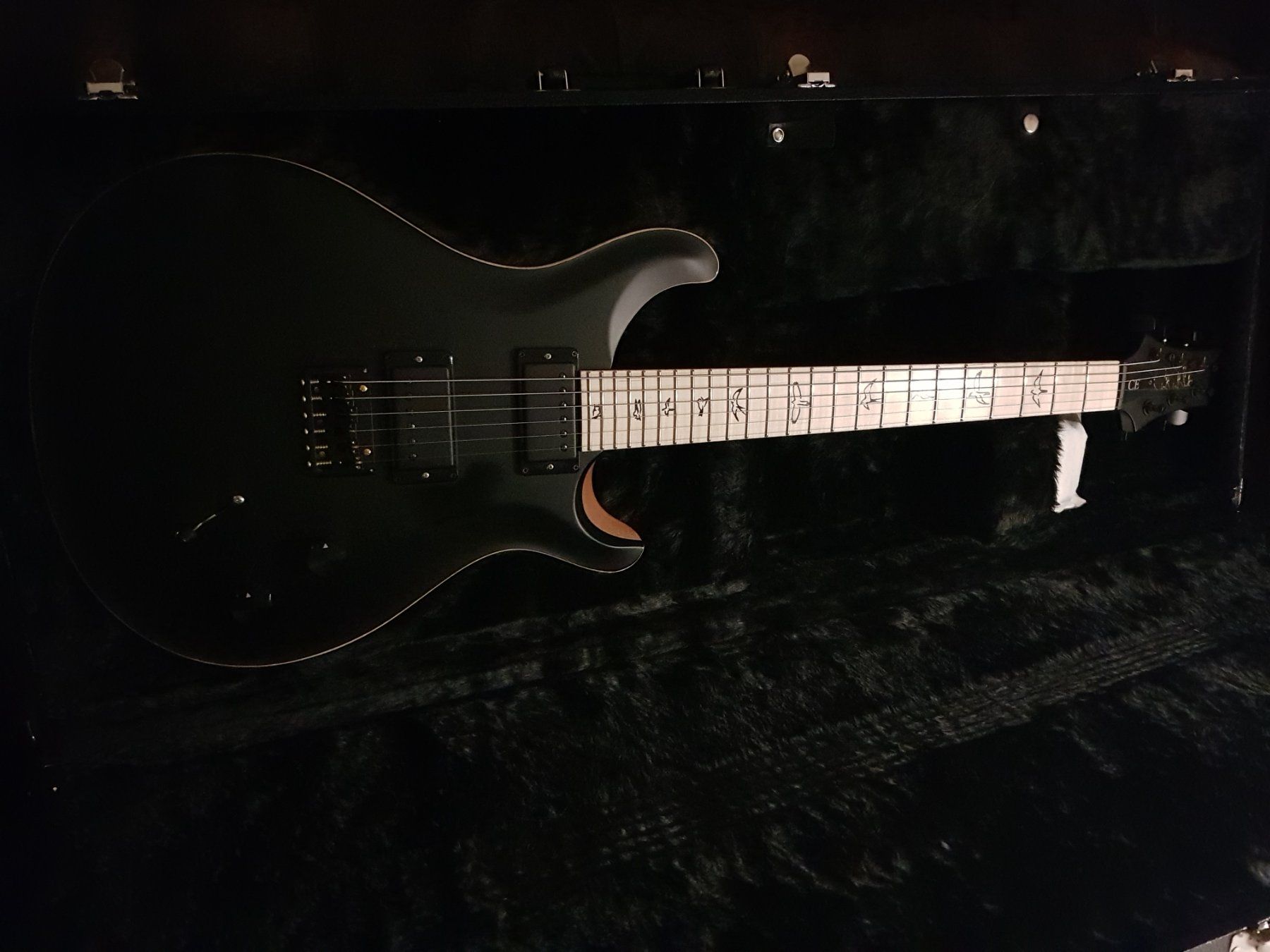 Strumenti musicali: Prs Dustie Waring – Usato da Sachseln venduto da zol_w65w