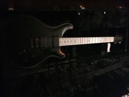 Prs Dustie Waring