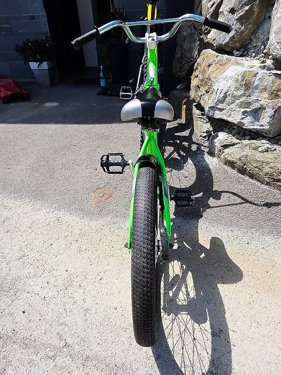 Rimorchi: Weeride Veloanhänger – Usato da Alpthal venduto da yul_c7zt 4
