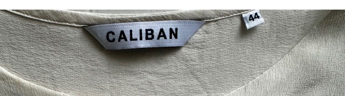 Camicette: Caliban Seidenbluse Damen 38 – Usato da Liestal venduto da Ballybs 3