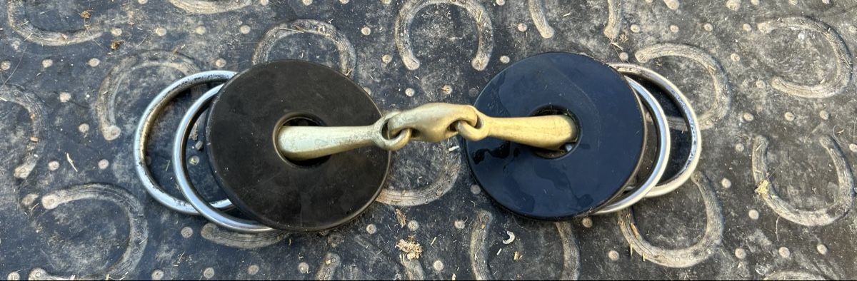 Briglie & Cavezze: Vier Ring Trense – Usato da Altstätten SG venduto da Kamigo 1