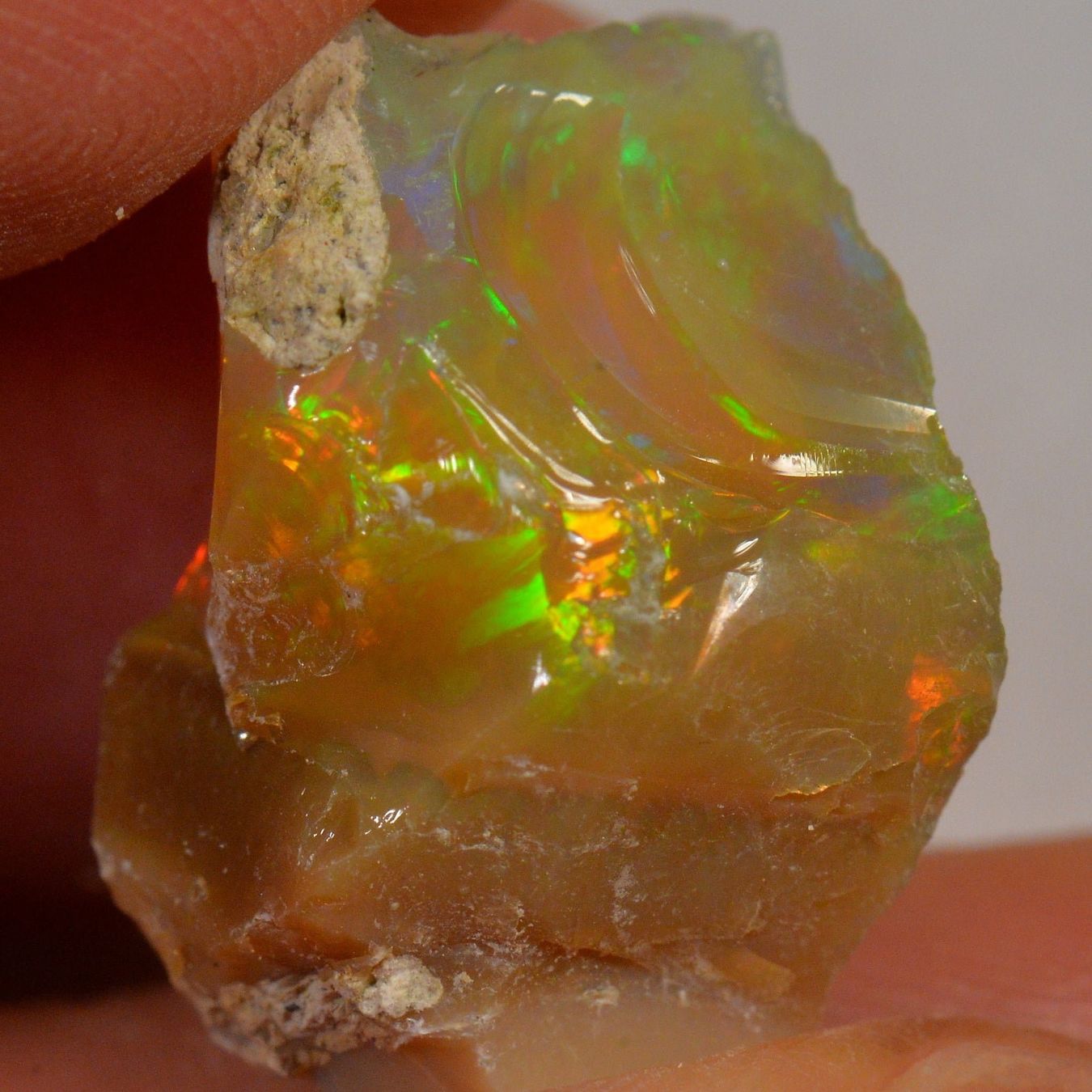 Pierres précieuses: 17.8 Karat - Roher Äthiopischer Welo Opal – Neuf (Voir description) à Rüti ZH par DeinOpal 3