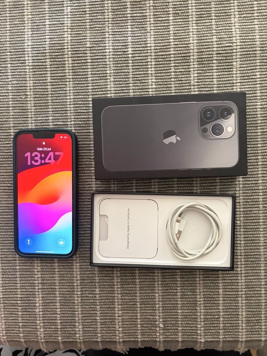 Apple Telefoni cellulari / Smartphones: Apple iPhone 13 Pro 256GB Graphite TOP – Usato da Thundorf venduto da reinventedshop_CH