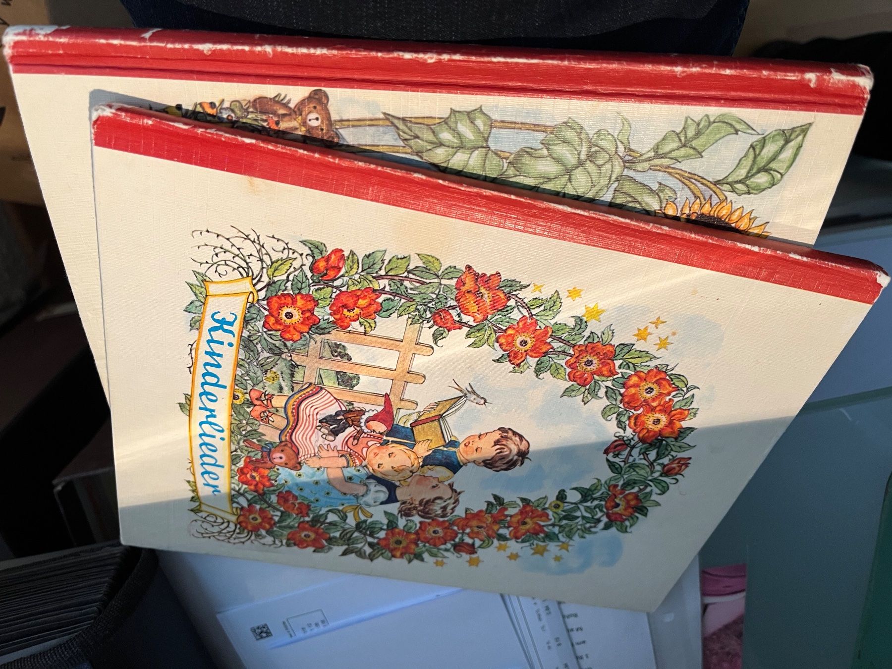 Libri: 2 alte Kinderbücher "Lieder und Verse" – Usato da Flumenthal venduto da Fetthenne 7