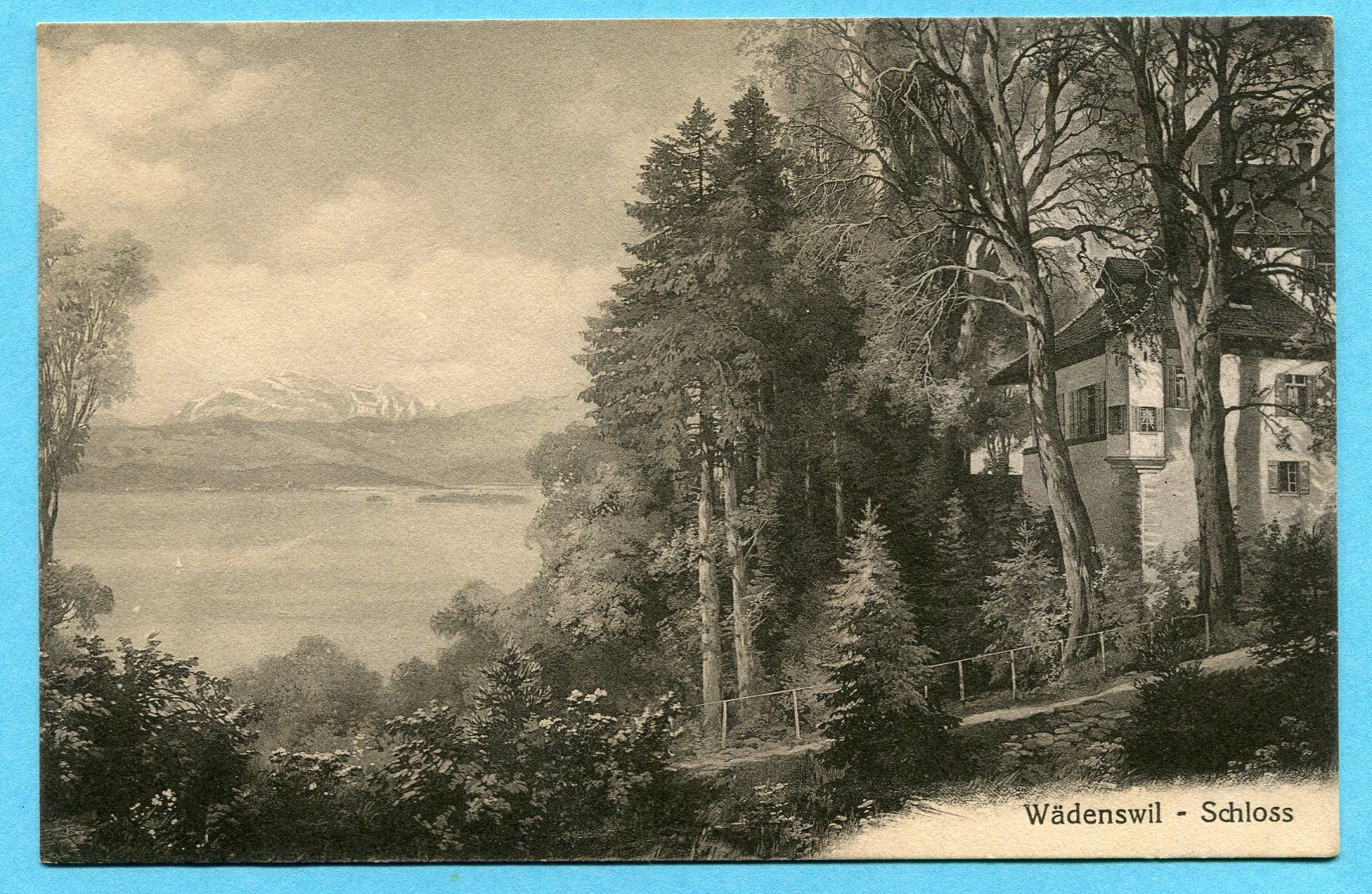 Cartoline postali: Wädenswil - Schloss 1923 mit Vignette – Usato da Opfikon venduto da Prophila