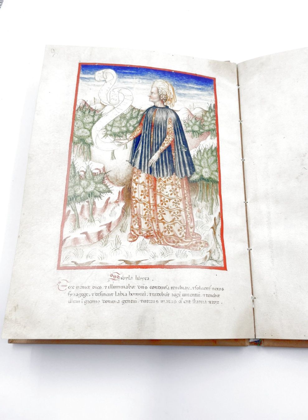 Libri: Vaticinia Pontificum, Faksimile – Nuovo (secondo la descrizione) da Hombrechtikon venduto da Bruenel 3