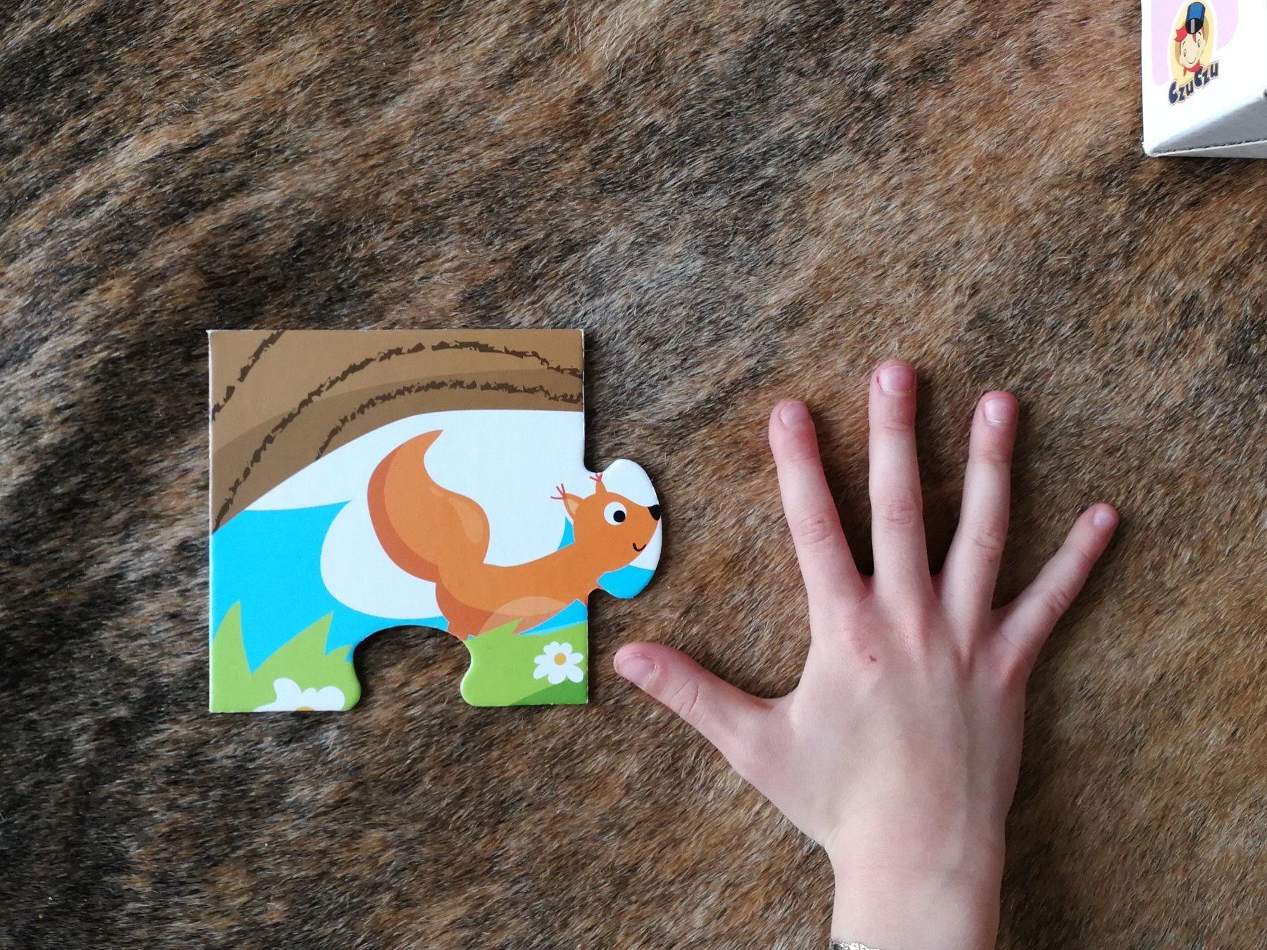 Puzzle: 4 Sets Riesiges Puzzle Set, My first puzzle – Usato da Hombrechtikon venduto da MalgorzataJ 2