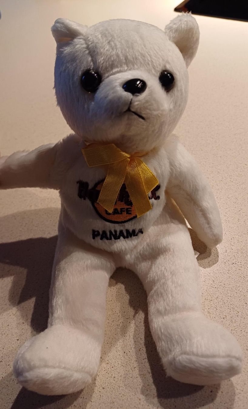 Giocattoli: Hard Rock Cafe - Collectible Bears - Panama – Usato da Würenlos venduto da JRP_71 1