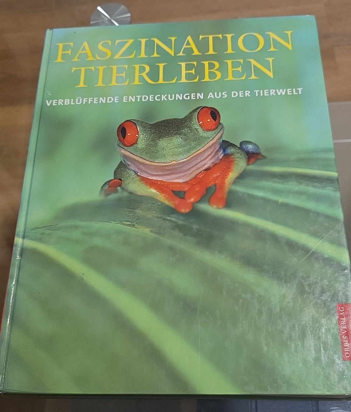 Libri: Fascinazione Vita Animale – Usato da Thun venduto da filippocarbone98