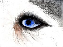 Zeichnung: Blaues Auge