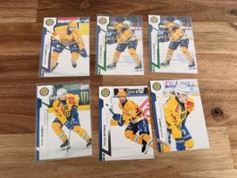 Sportzoo Series 1 24/25 HC Davos Lots Base