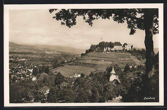 Cartoline postali: AK Lenzburg, Teilansicht mit Schloss – Usato da Berlin venduto da bartko-reher