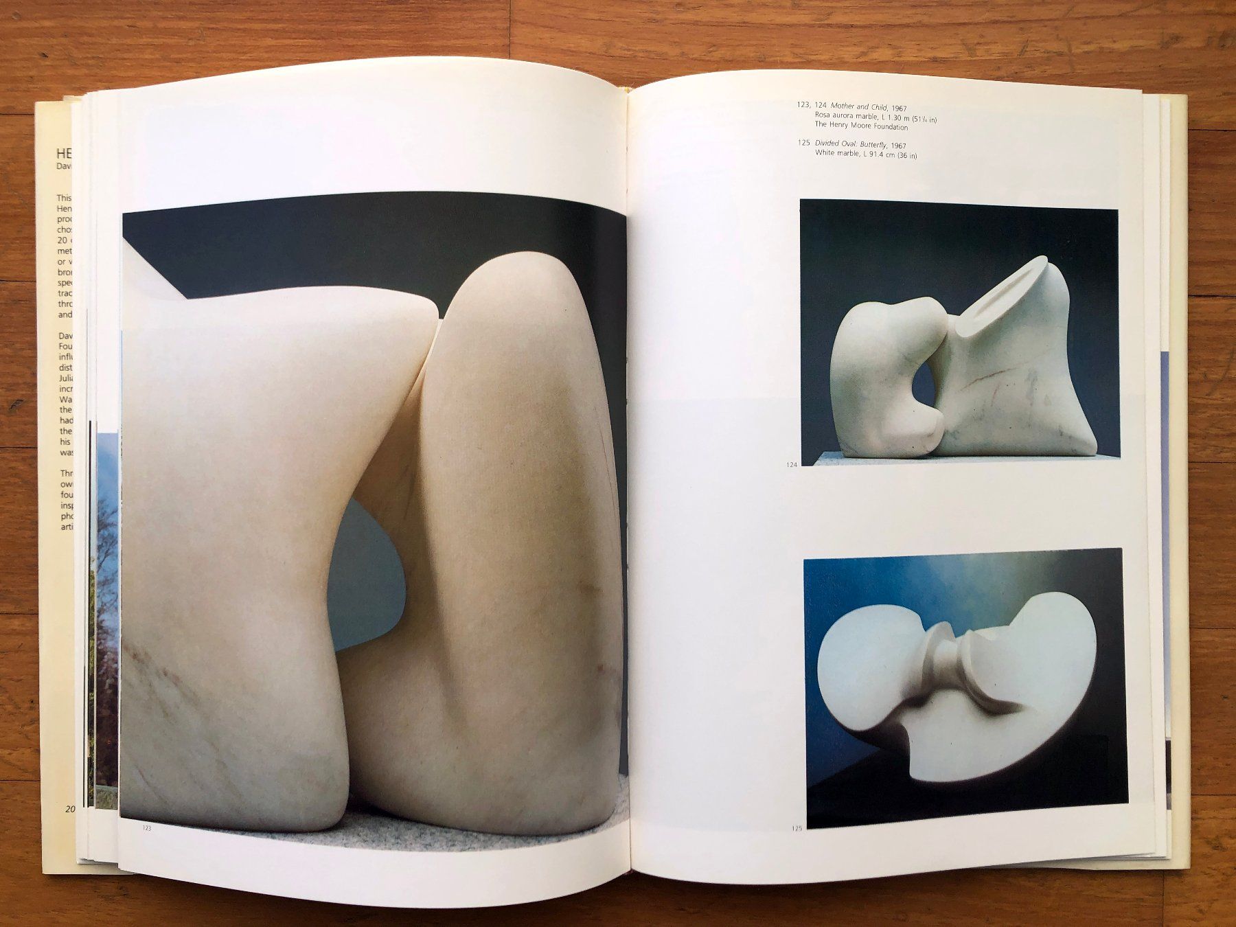 Bücher: Kunst Buch: HENRY MOORE – Gebraucht aus Lugano von gio.yo 5