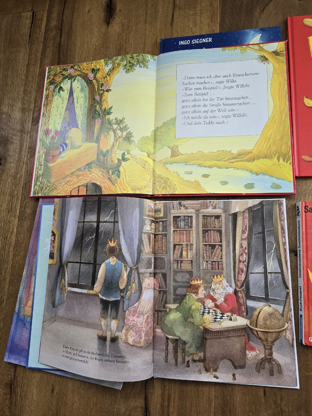 Libri: bücher set – Usato da Wittenbach venduto da Tigerlili 2