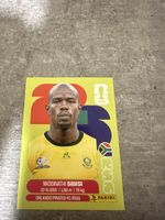 RSA 10 , FIFA WORLD CUP 2026 PANINI 